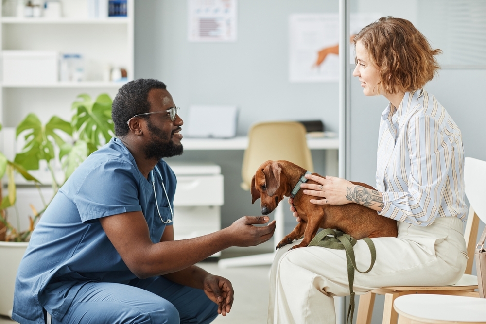 A vet talking to an owner about their dog