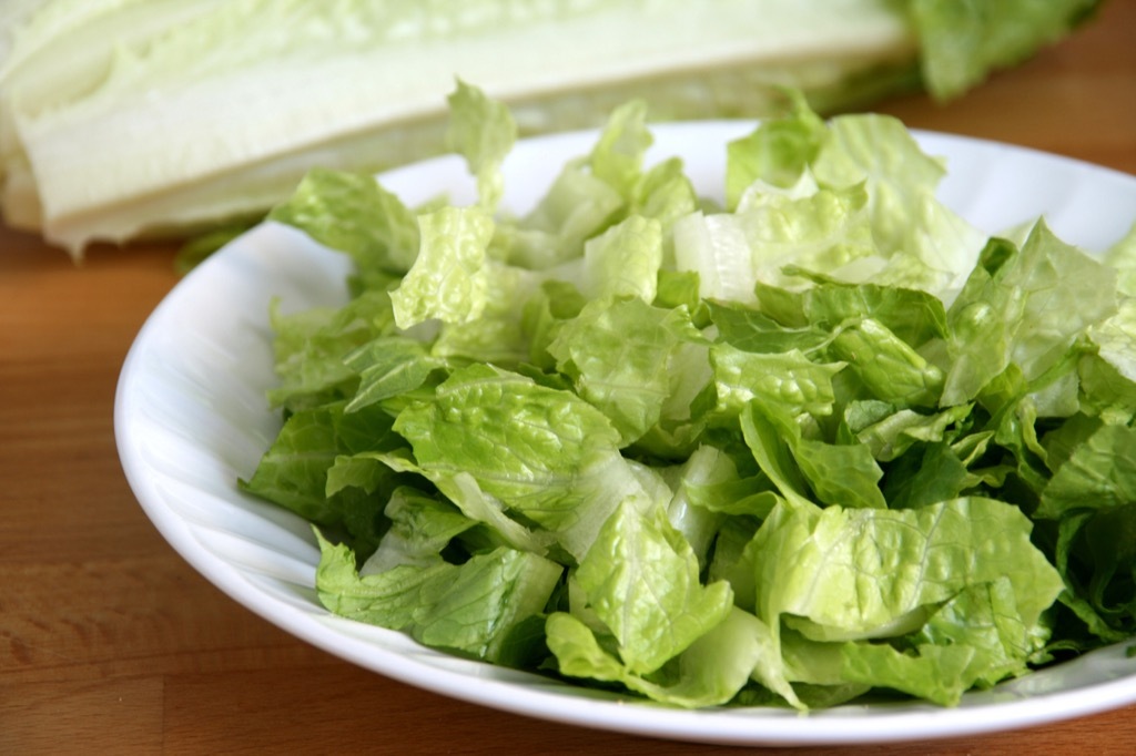 Vegetarian diet romaine