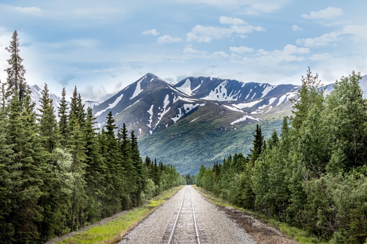 Denali National Park