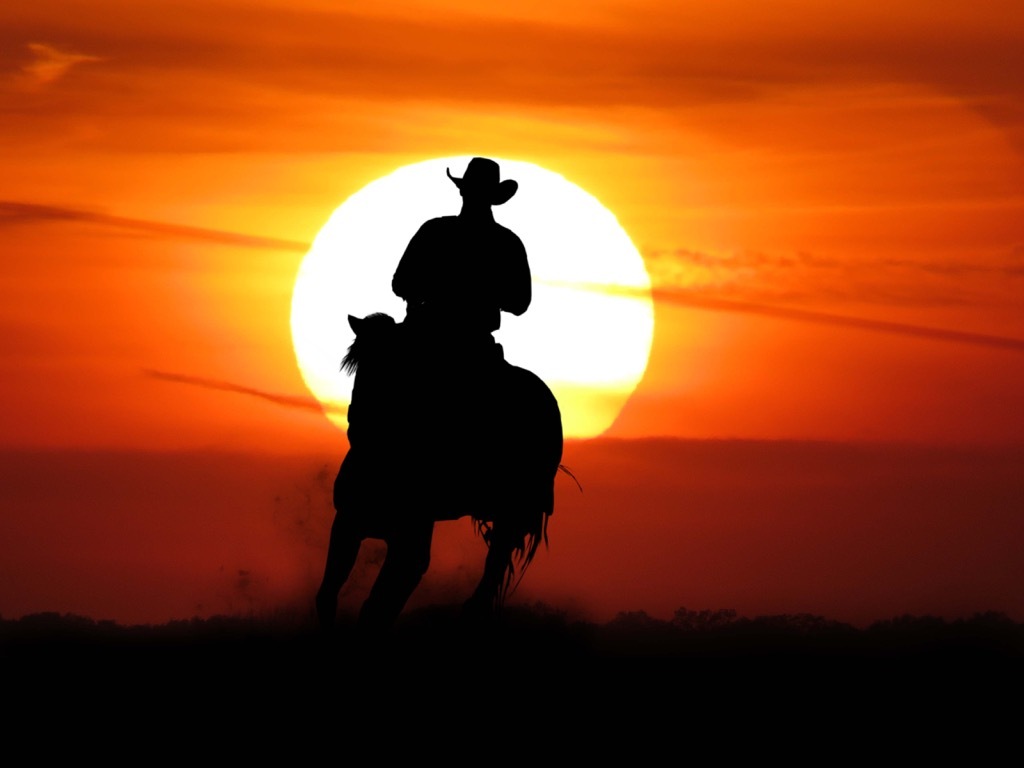 Cowboy on horse in shadow against a sunset