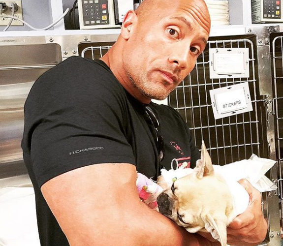 Dwayne The Rock Johnson Dog Brutus Celebrity Pets