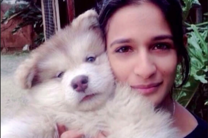 Yumna and Tydus the Dog - alaskan malamute Adopt a Pet