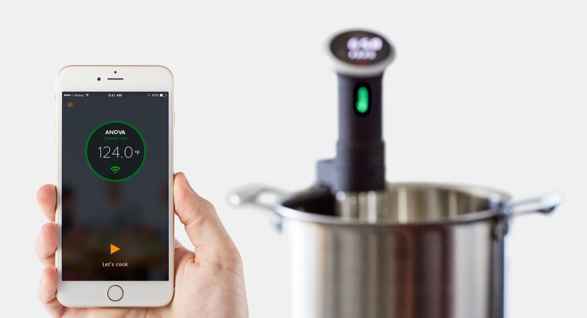 Anova Sous Vide {Black Friday Sales}