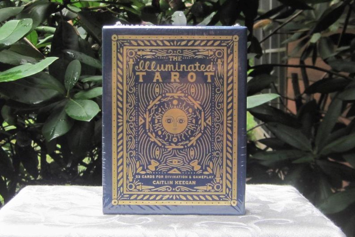 blue tarot book with gold writing on white tablecloth in front of plants