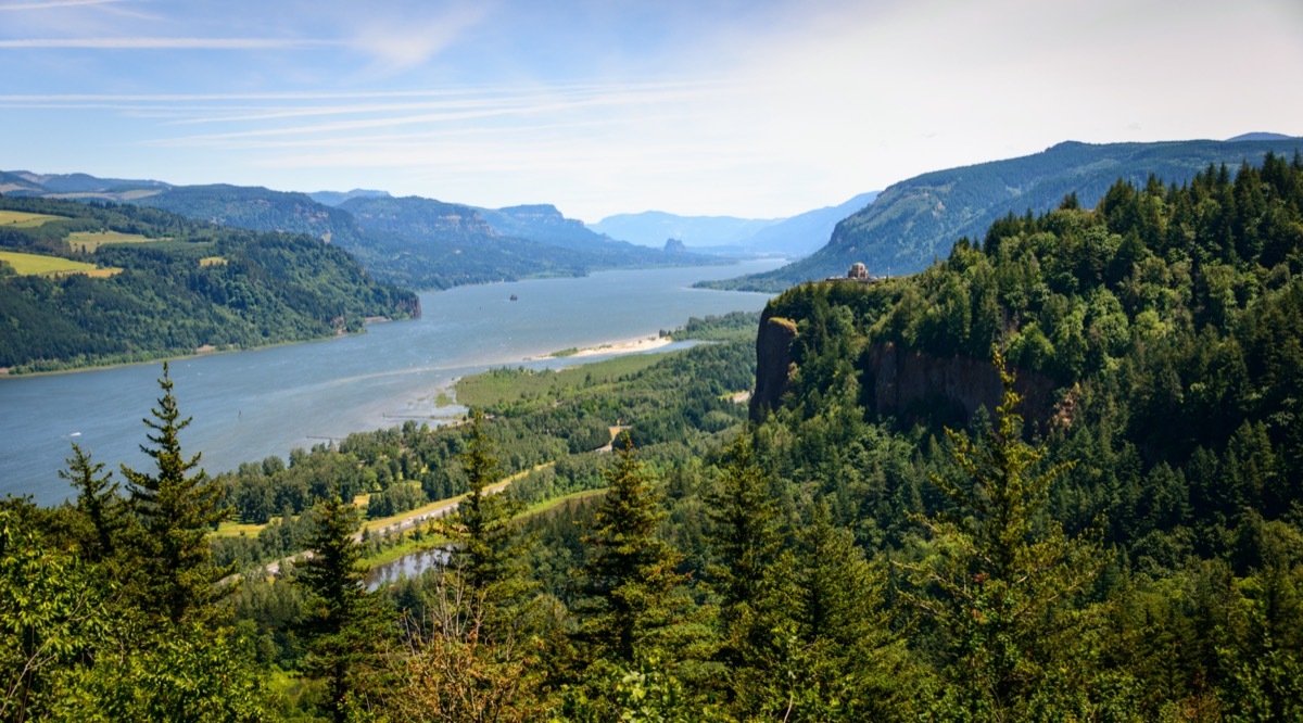 forest aerial view of a river and a gorge