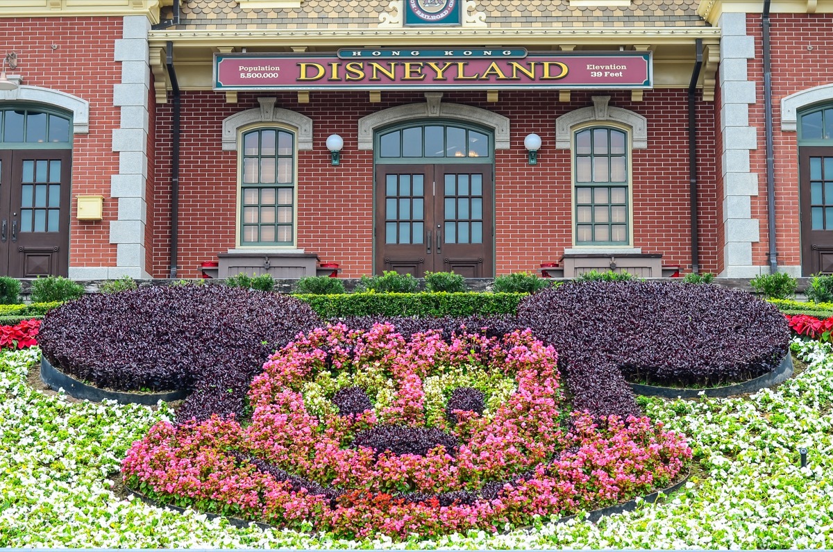 Disneyland Garden of Mickey Mouse's face in Hong Kong, Disney Facts