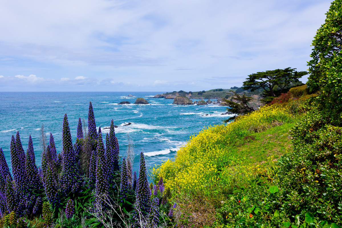 Mendocino, California beach town sea village