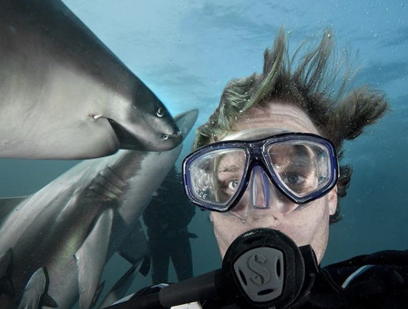 Man with Sharks Selfies