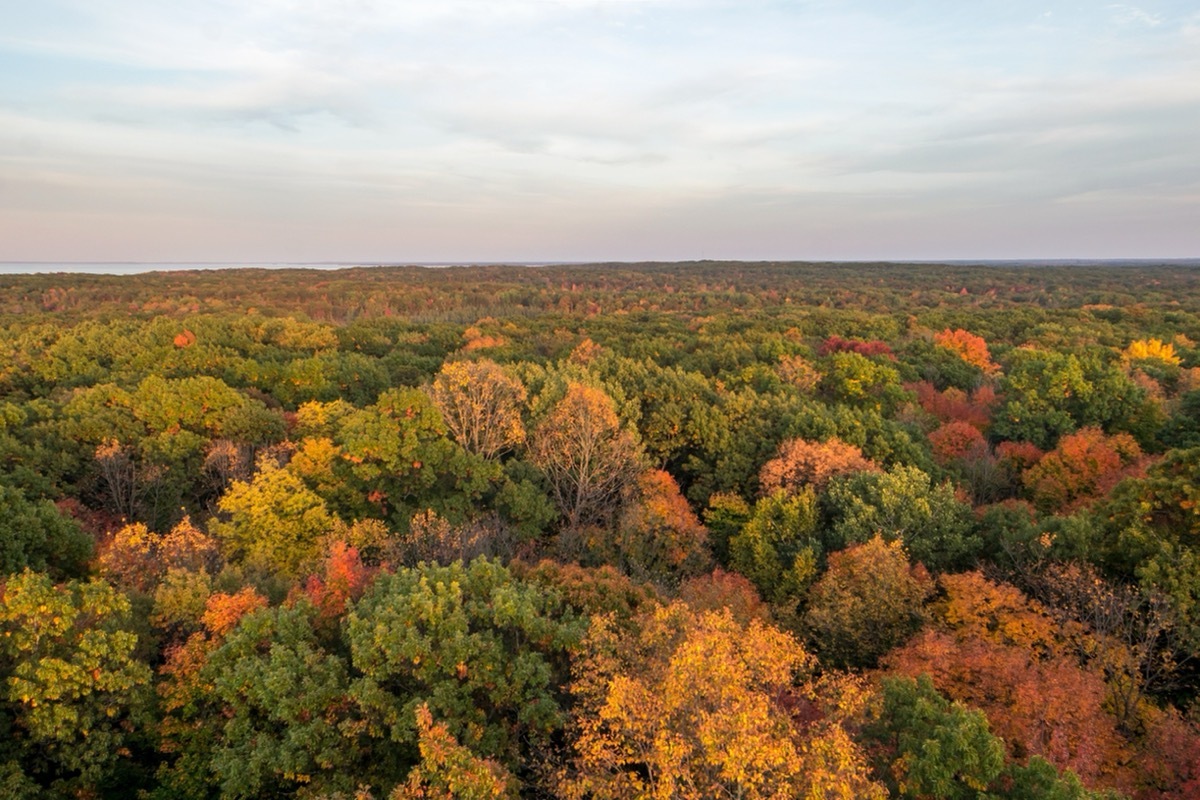 fall foliage central minnesota