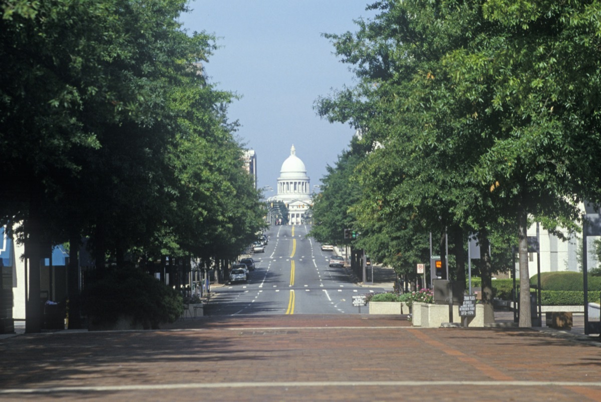 Tree line leading to the State Capitol of Arkansas, Little Rock