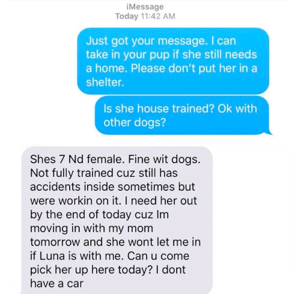 horrible woman demands money for dog