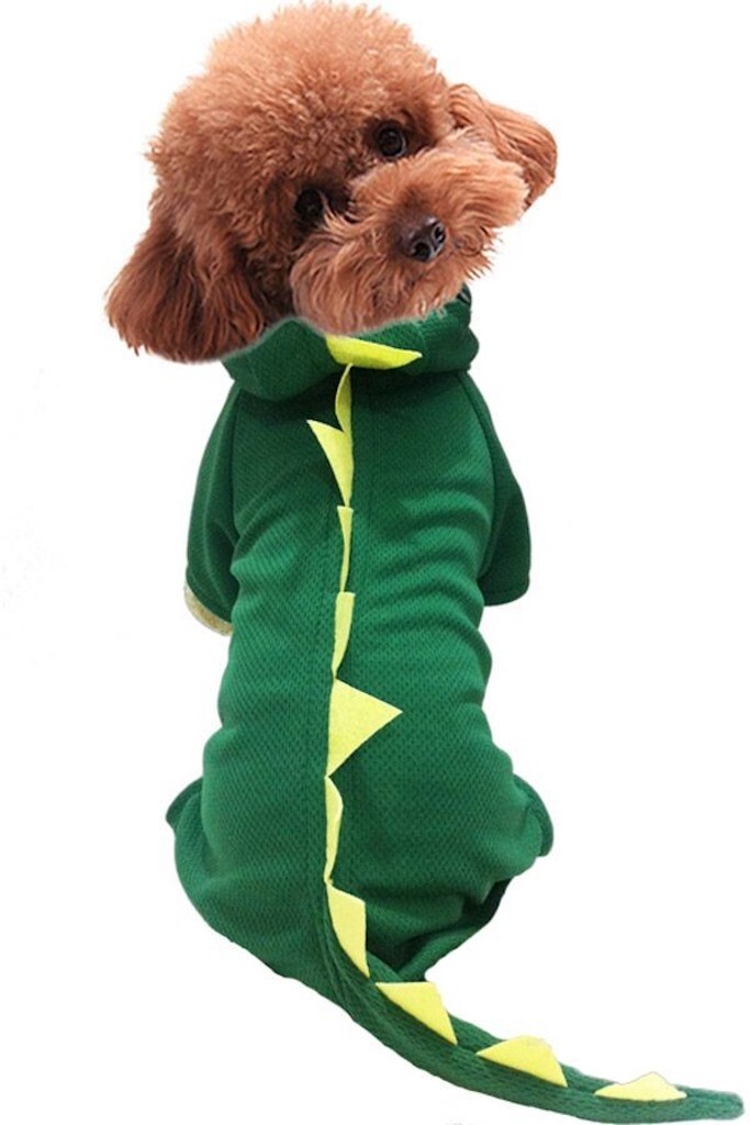 Dinosaur Onesie for Dog adorable dog outfits