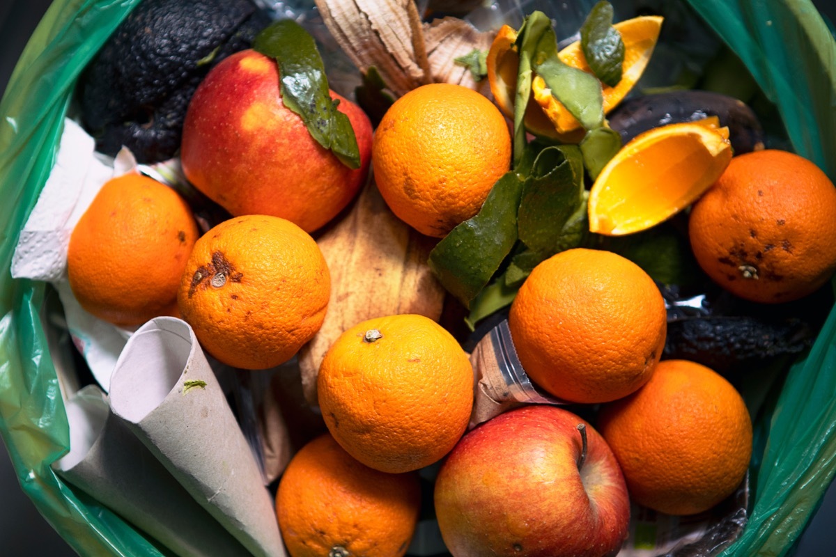 fruit in trash can