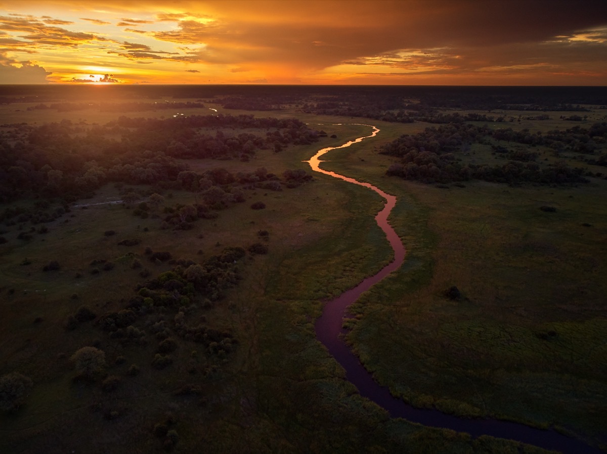 botswana forest, least populated places