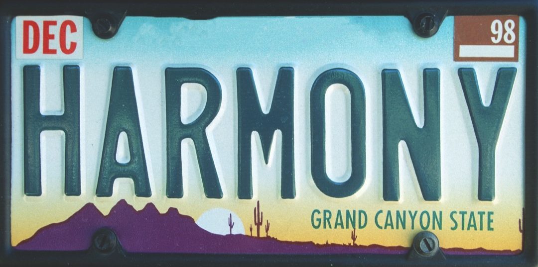 arizona license plate photoshopped