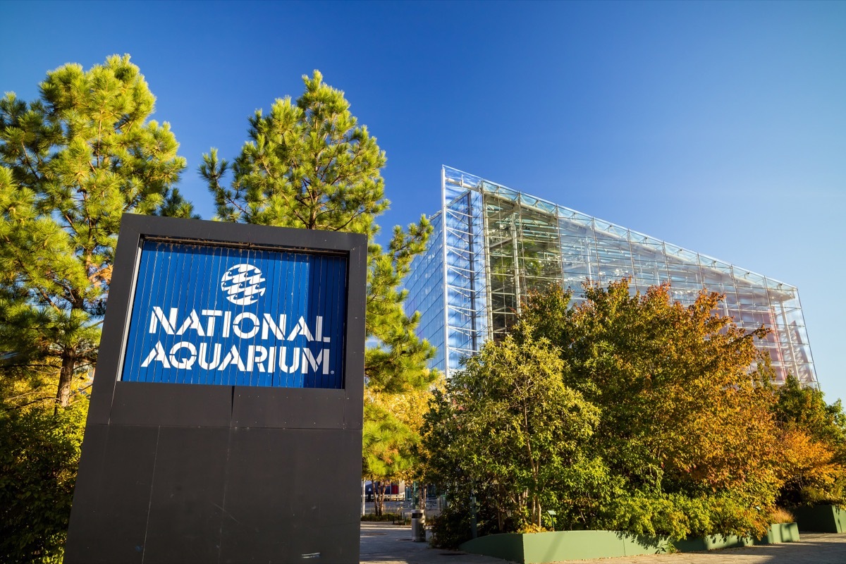 The National Aquarium