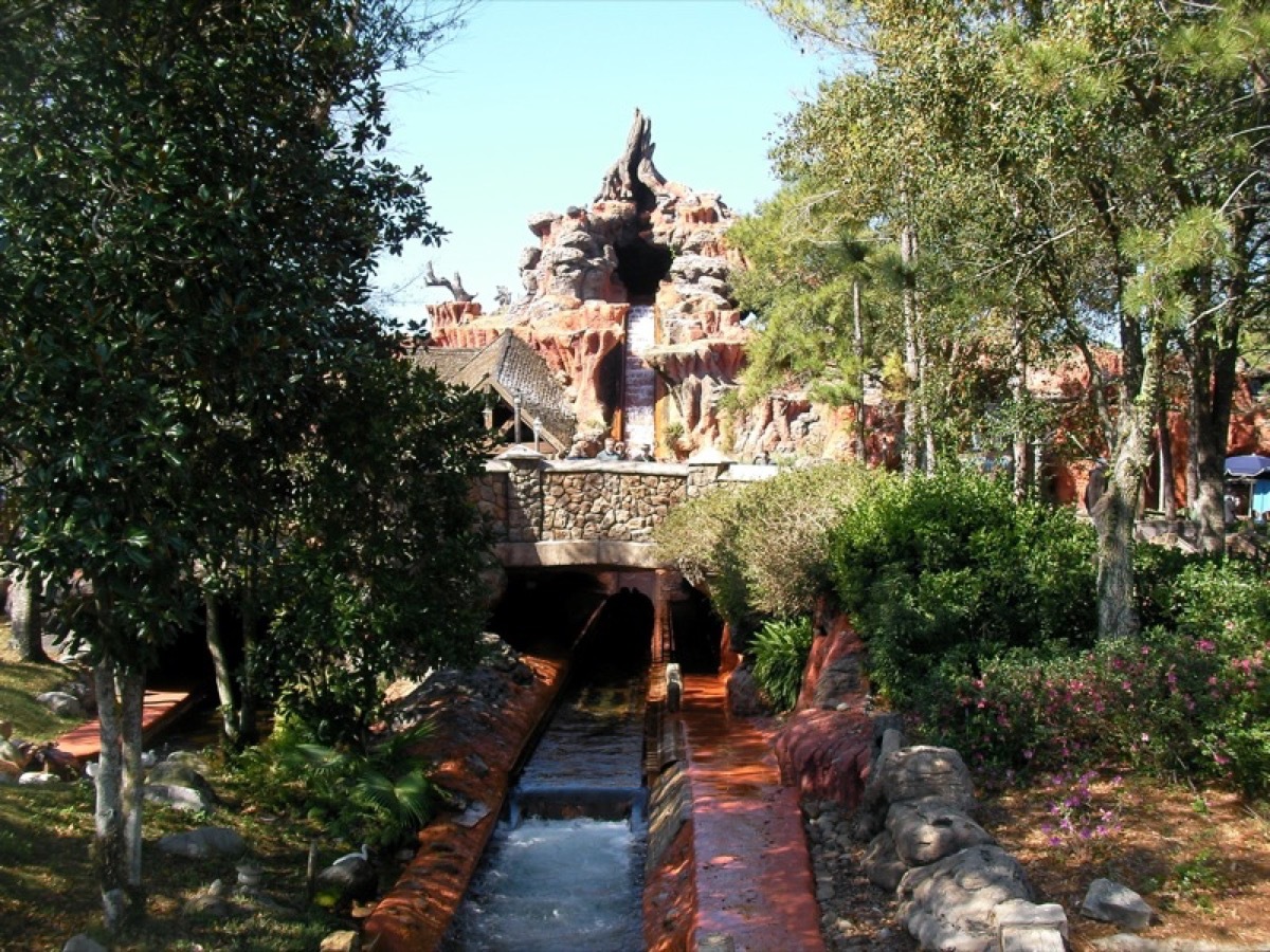 splash mountain ride, disney, florida