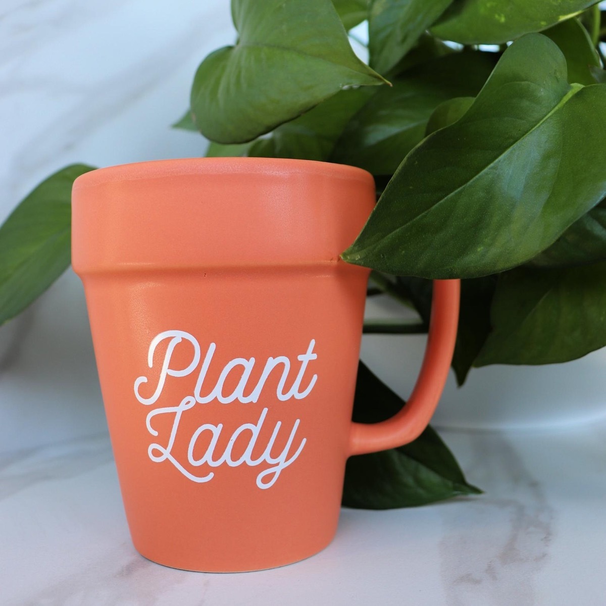 Planter mug with plant