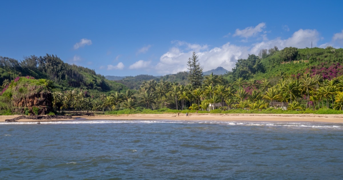 coast of kauai's mcbryde gardens