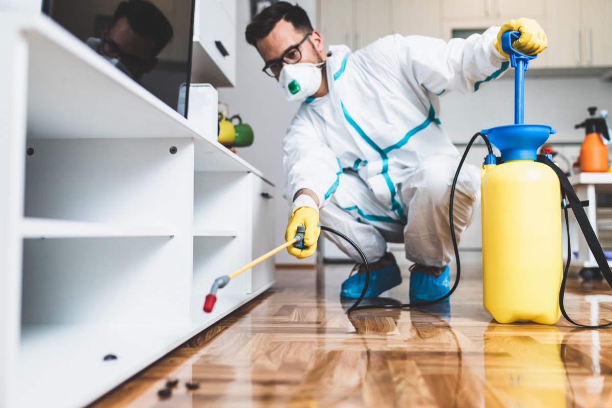 Exterminator spraying pesticide in home