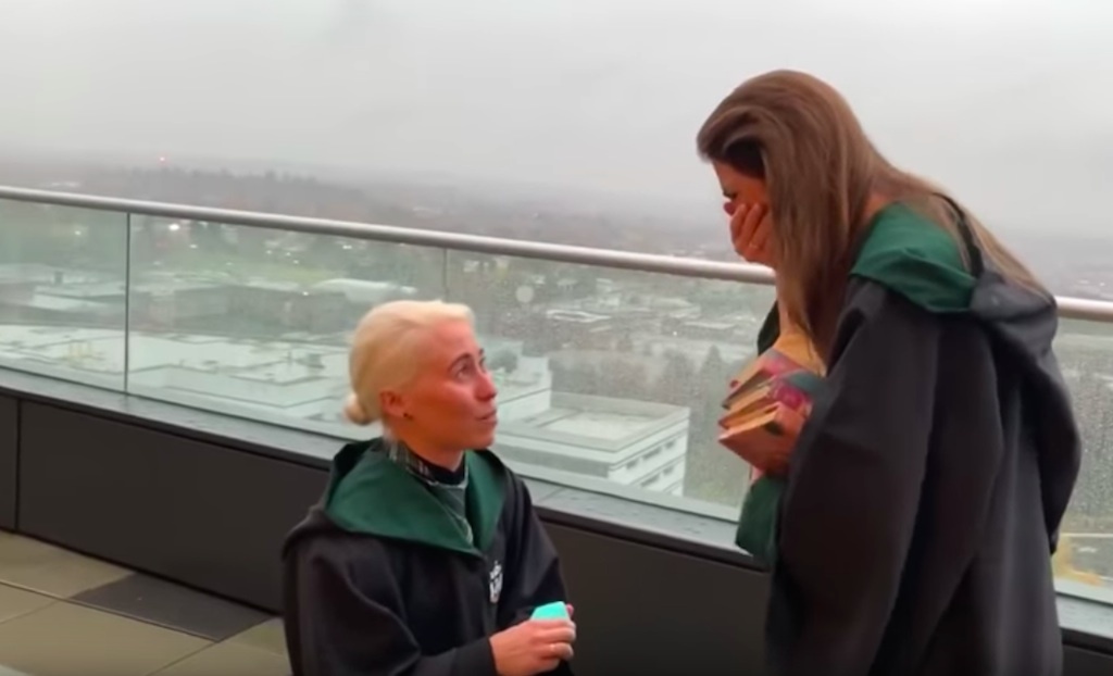 harry potter proposal