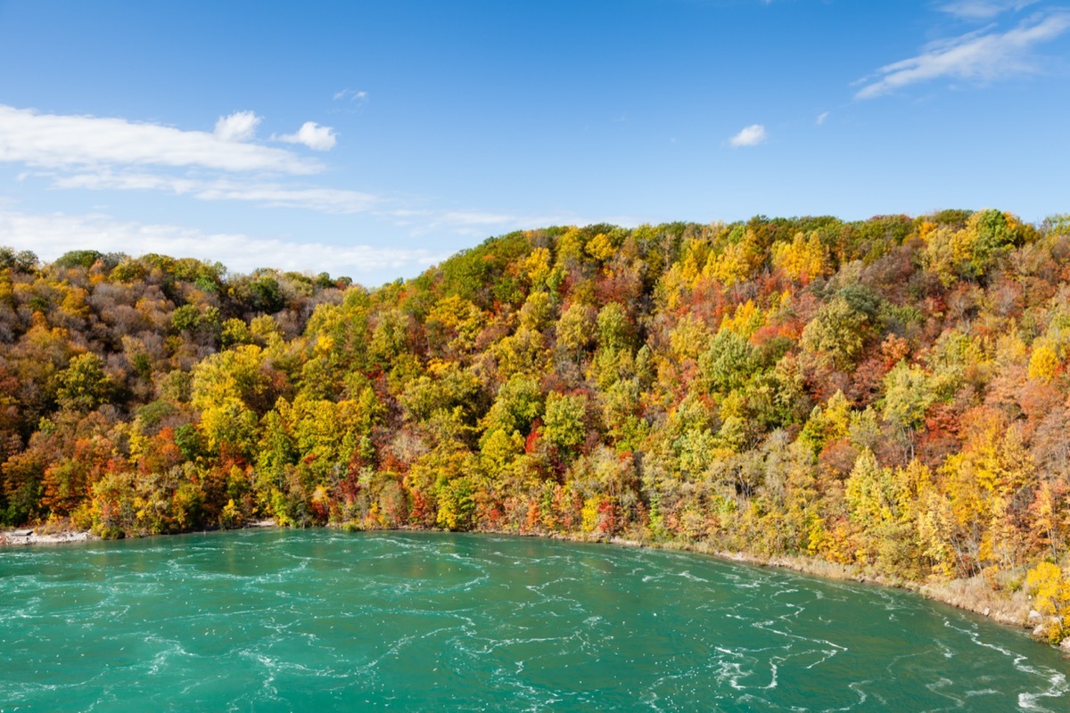 fall foliage at niagara whirlpool