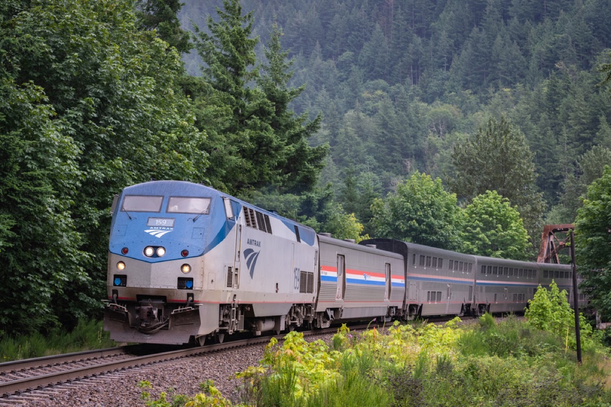 amtrak train going through trees