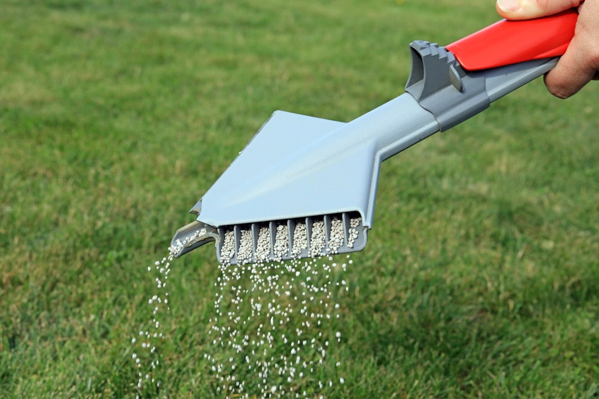 lawn fertilizer