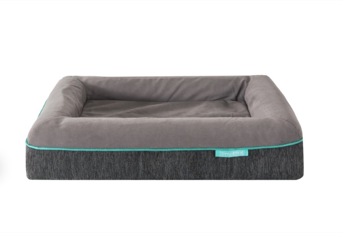 gray dog bed with green piping