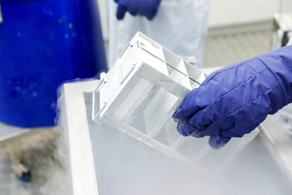 A hand wearing a purple protective glove removes vaccine doses from a freezer