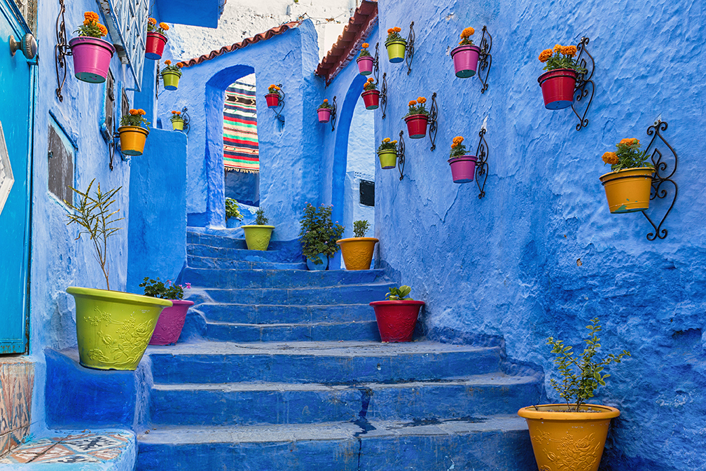 Blue wall and staircase decorated with colourful flowerpots in Chefchaouen, Morocco