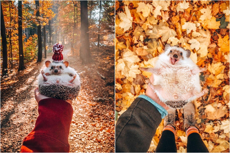 Cosy outfits | Mr Pokee The Hedgehog Will Make Your Day | Her Beauty