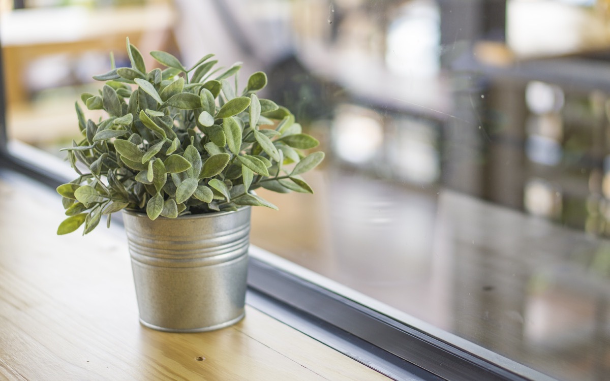 fake succulent in metal pot on table