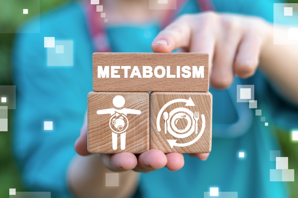 Metabolism Medical Concept