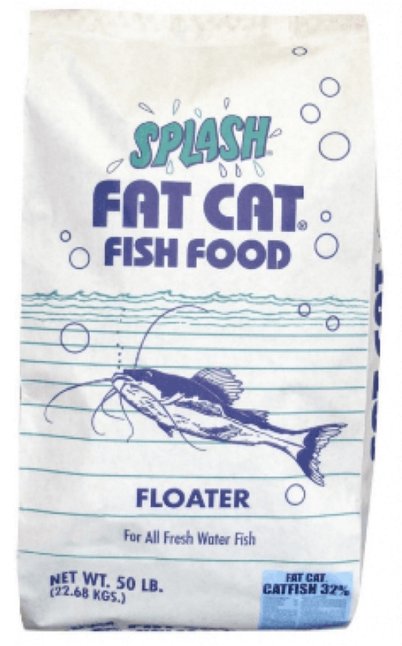 Splash Fat Cat