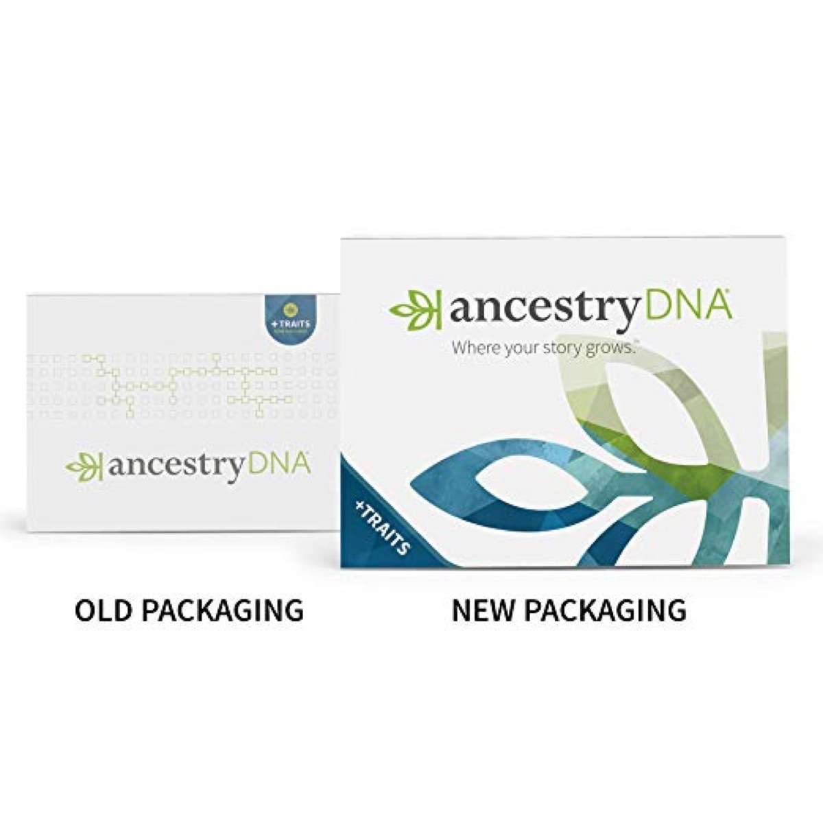 ancestry dna kit, prime day deals