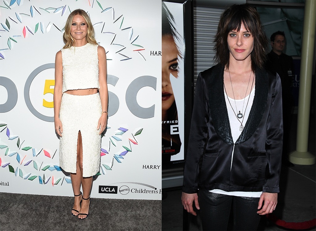 Gwyneth Paltrow cousin Katherine Moennig