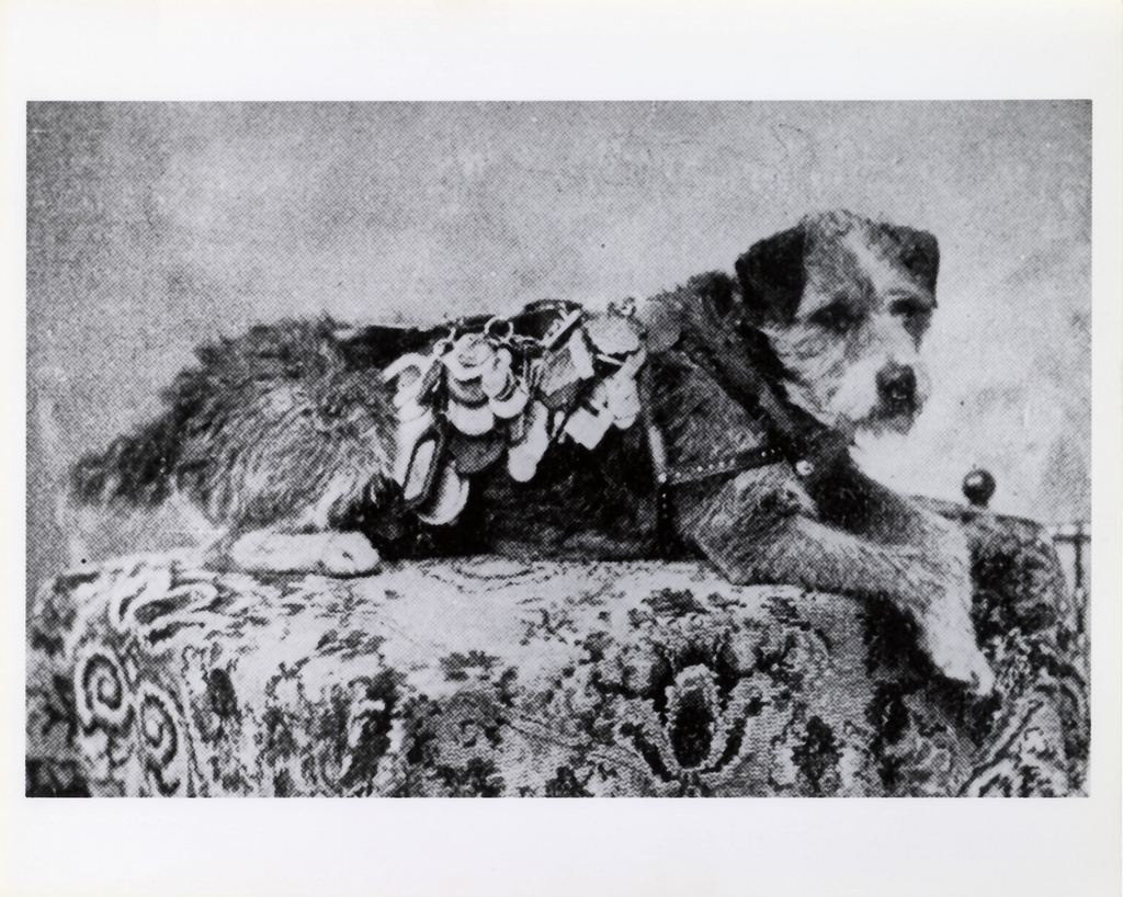 Owney