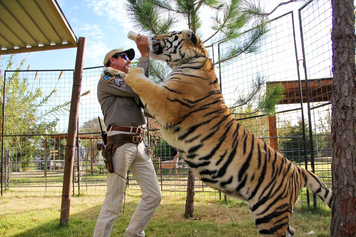 Joe Exotic in Tiger King