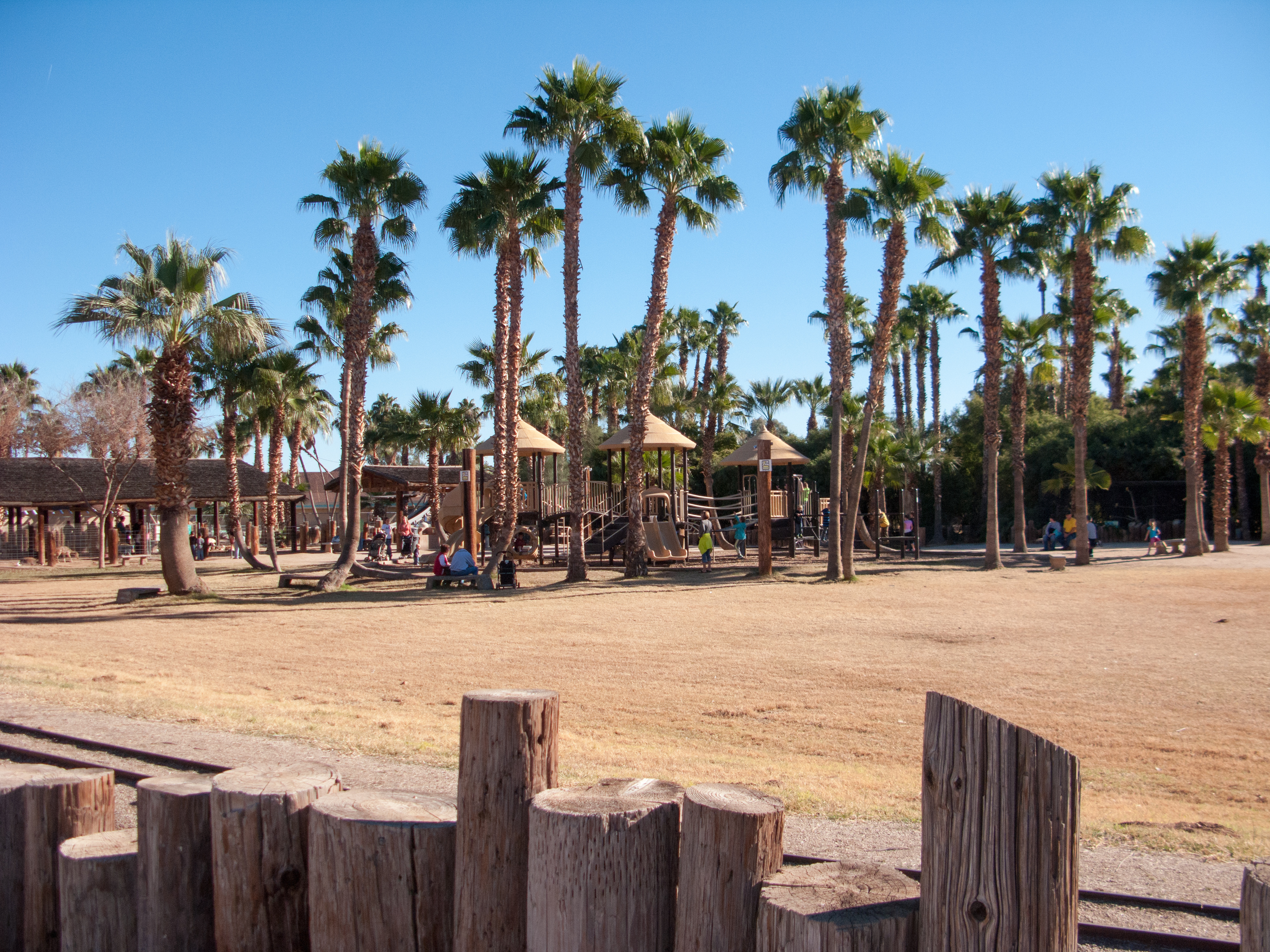 Wildlife World Zoo in Phoenix