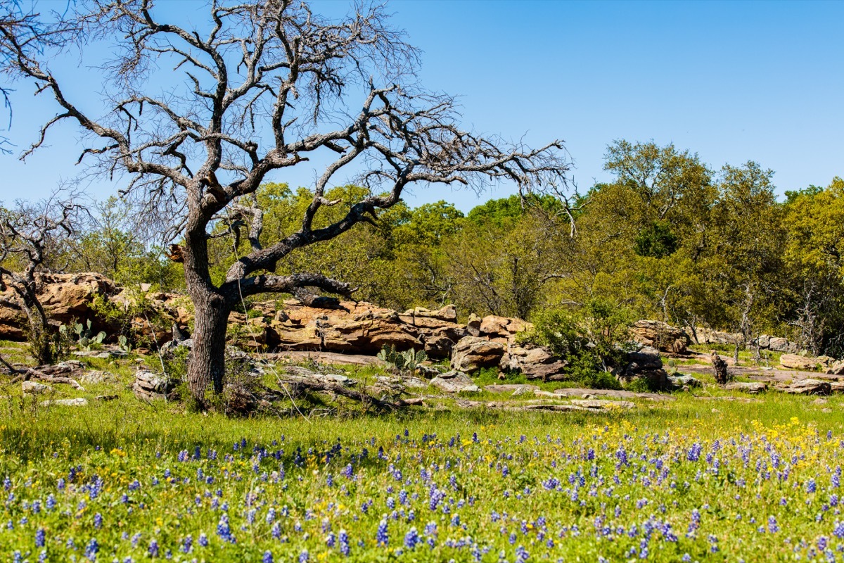 flower mound, texas, fastest growing cities