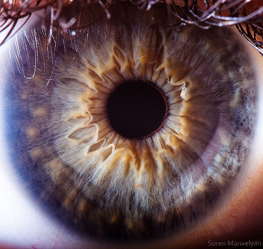 extreme-closeups-of-human-eyes-are-creepy-but-stunning-02