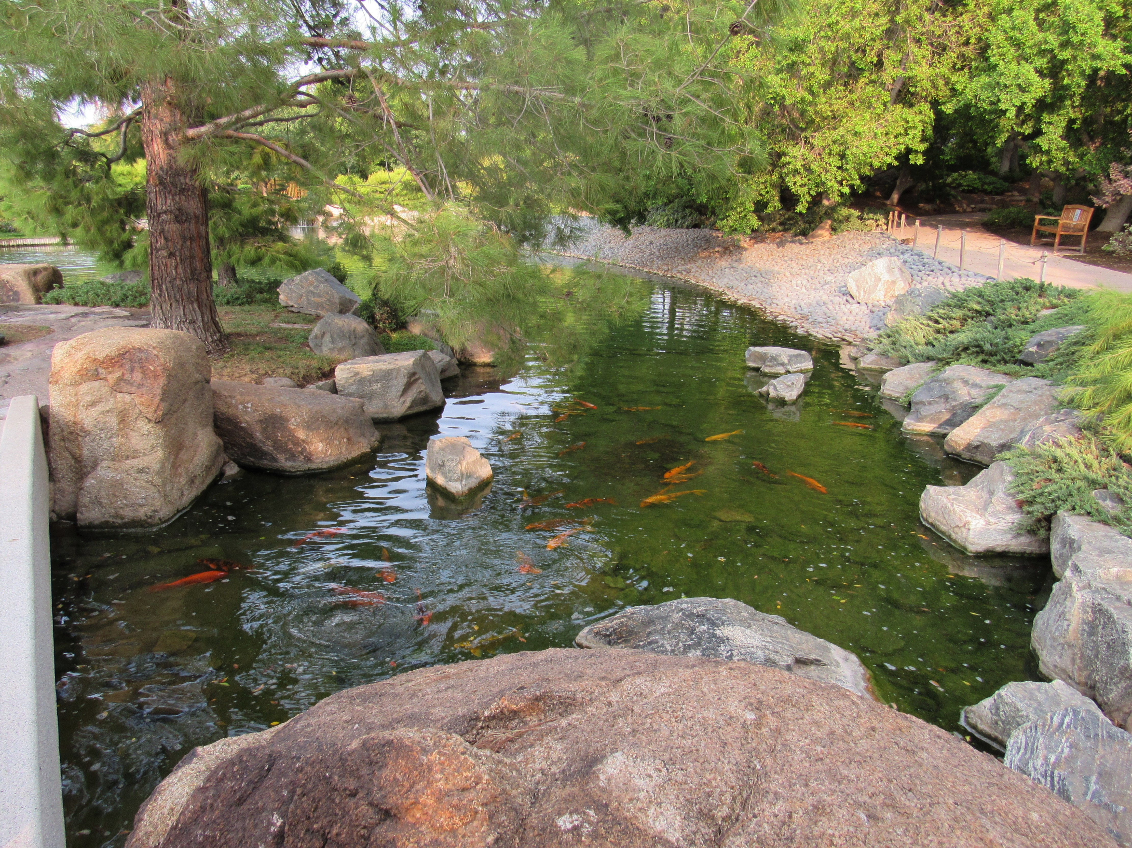 japanese friendship garden in phoenix