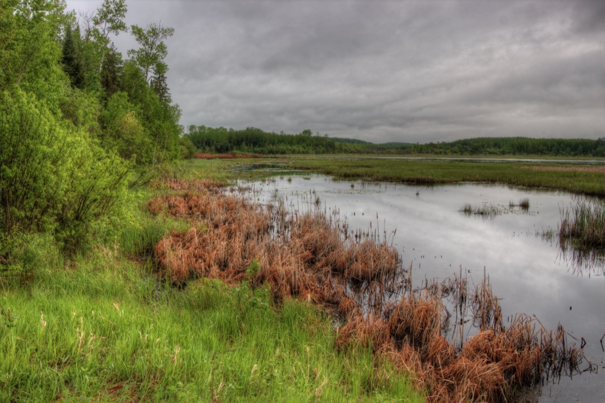 a lake in northern Minnesota