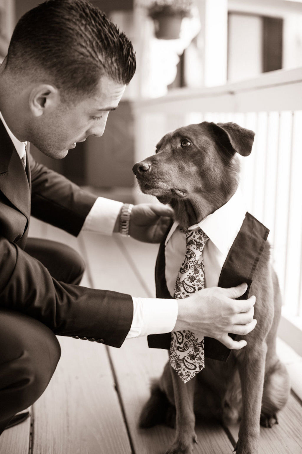 dog best man wedding viral photo