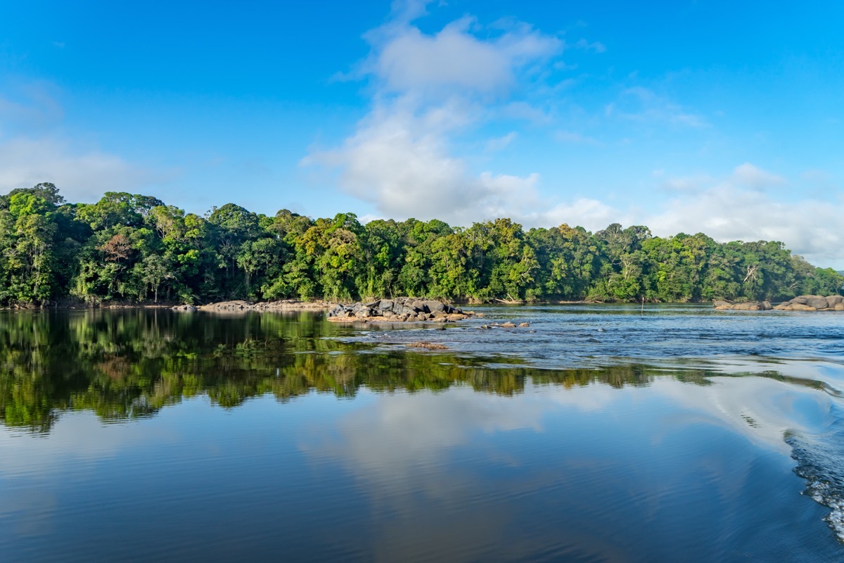 guyana country, lowest population density