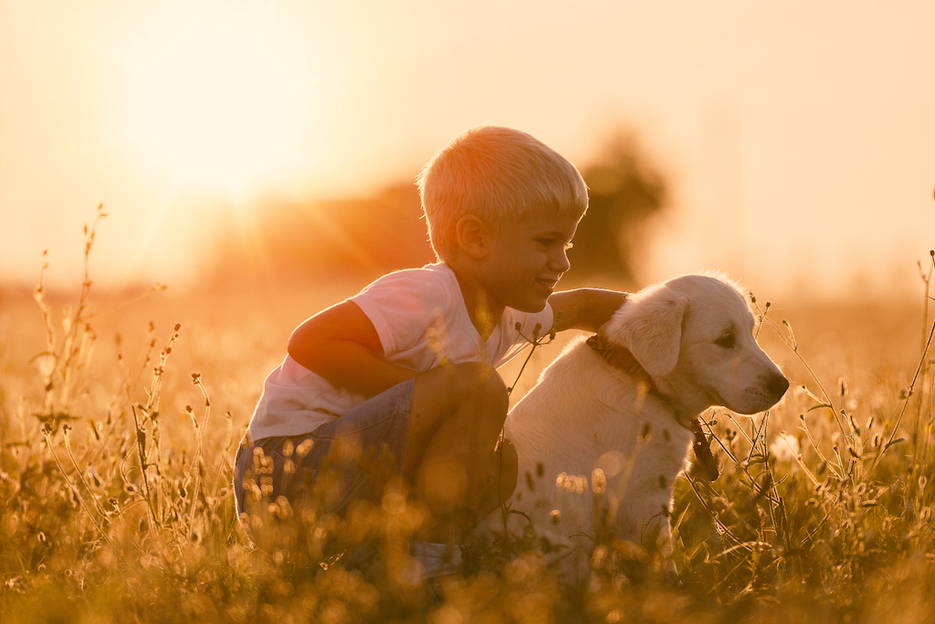 puppy-and-boy