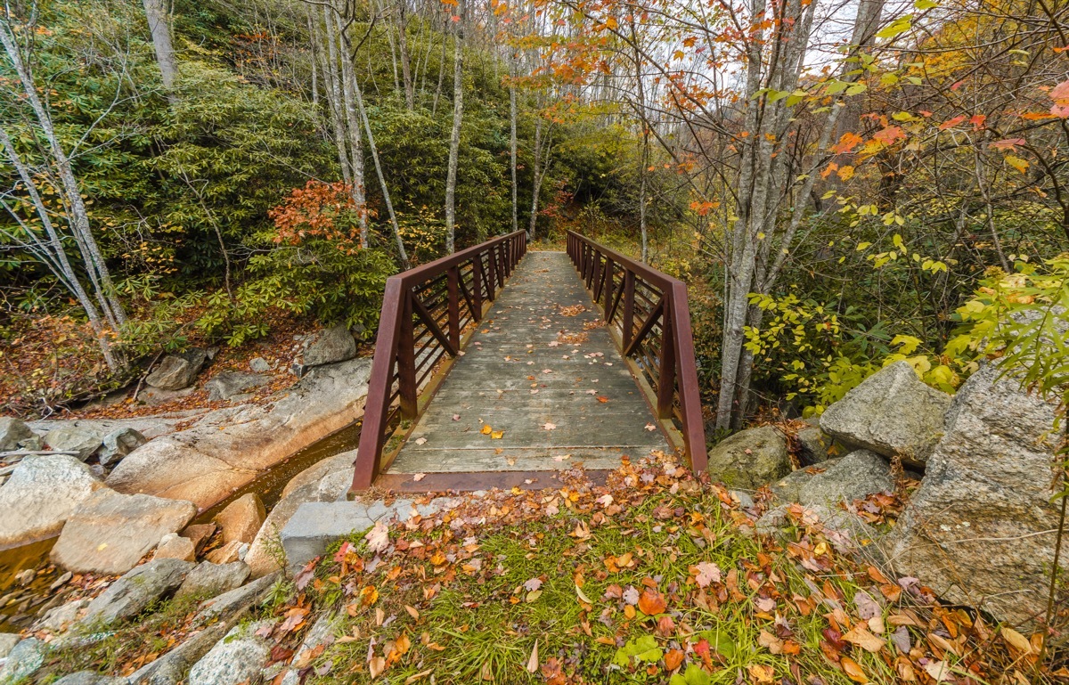 Beech Mountain North Carolina