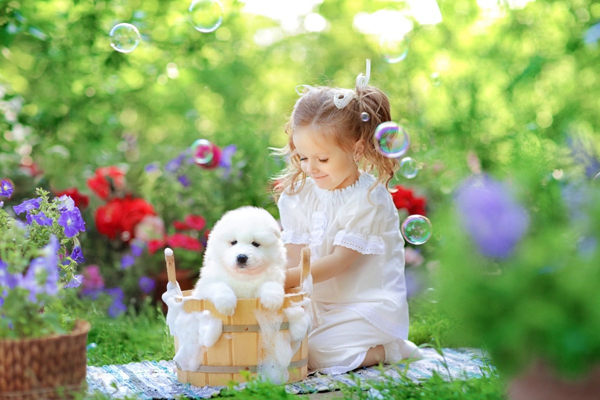 Girl giving her puppy a little bath