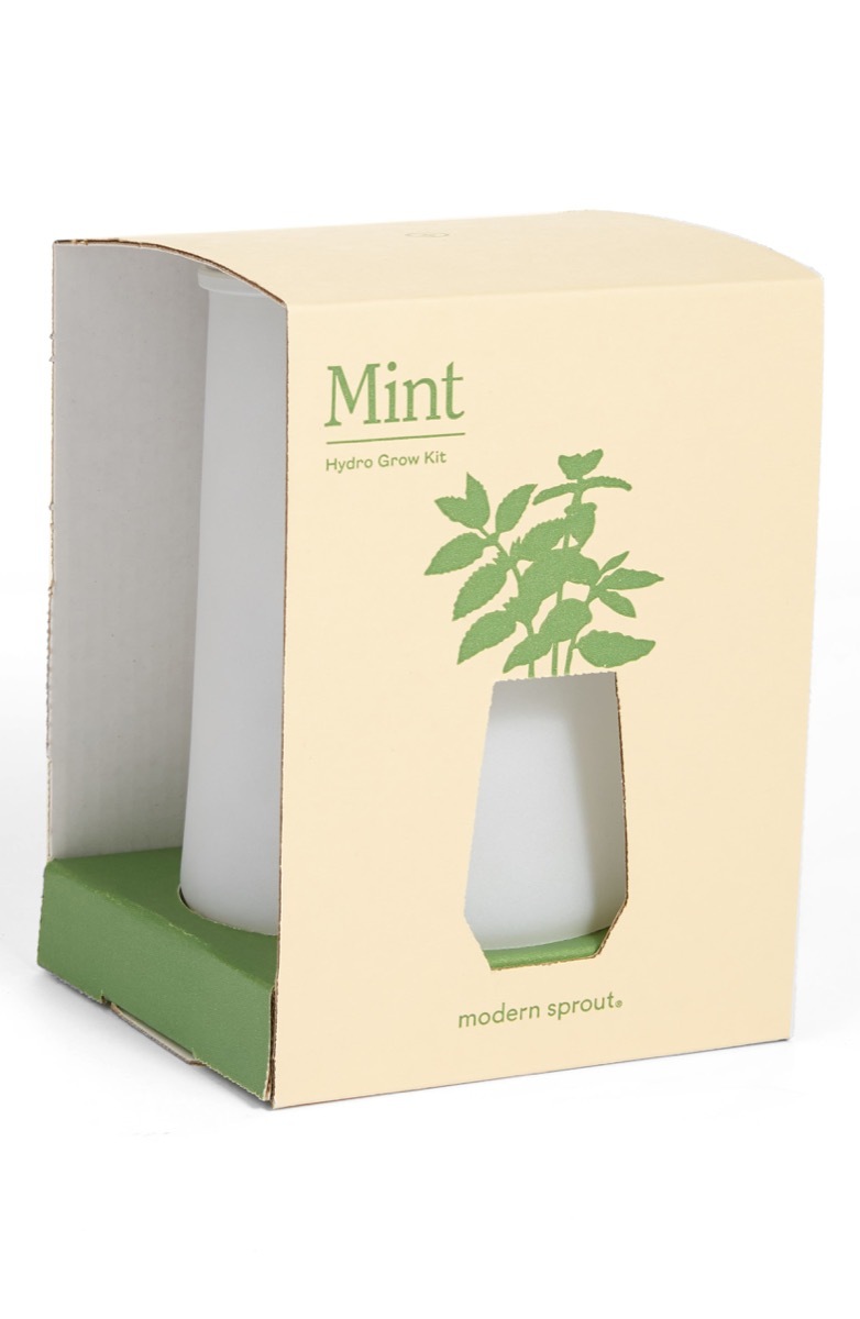 tumblr mint grow kit